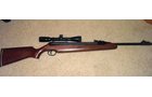 Diana Model 48/52 #02024356, Sportsview 79-0039, made in Germany - Calvin Clamme Estate - Farm Equipment & Gun Inventory Auction